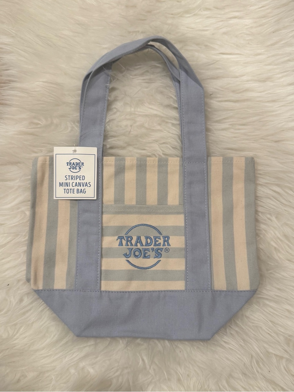 Trader Joe’s Striped Mini Canvas Tote Bag in Light Blue